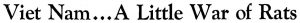 Boston Globe headline, 8 September 1965: Viet Nam...A Little War of Rats