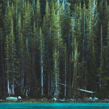 Earth Day 2022: Learning More About Our World - Vimarsana News